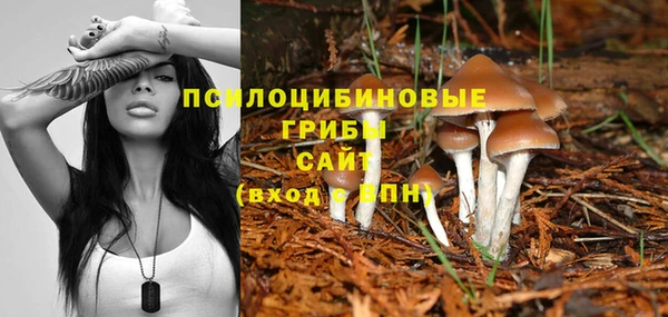 гидропоника Абаза