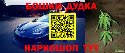 мяу мяу мука Славгород