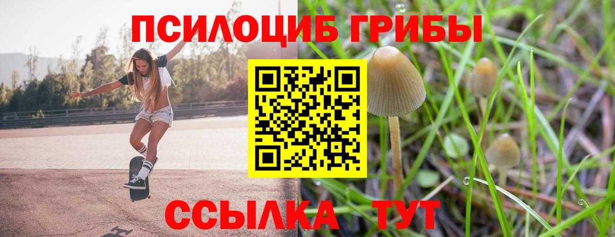 Псилоцибиновые грибы MAGIC MUSHROOMS  Вход с VPN  Тольятти 