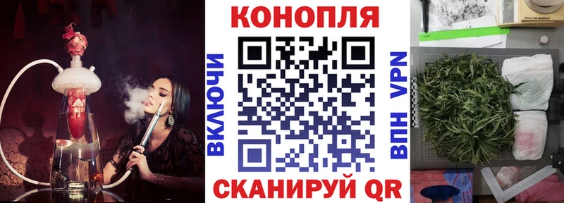 где найти   Тольятти  shop официальный сайт  Шишки марихуана ГИДРОПОН 